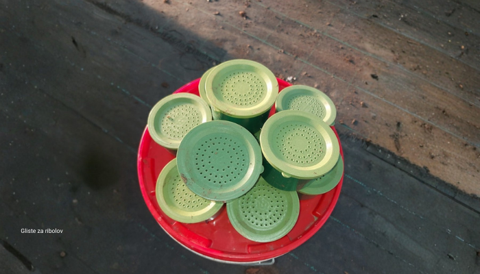 Gliste za ribolov u kutijicama